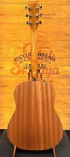 Taylor 【限定30本】117e Black Top ~Japan Limited~【コスパ最強エレアコ】【日本限定モデル】_8