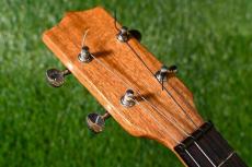 No Brand HawaiianKoa Tenor【USED】_5