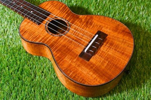 MAKOLELE No.221 Concert【USED/2018年】