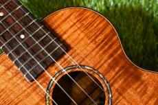 MAKOLELE No.221 Concert【USED/2018年】_10