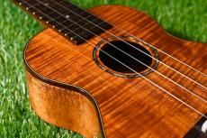 MAKOLELE No.221 Concert【USED/2018年】_11