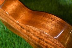 MAKOLELE No.221 Concert【USED/2018年】_15