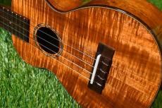 MAKOLELE No.221 Concert【USED/2018年】_16