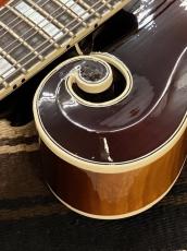 Gibson F-5 Sam Bush 2015 【48回払い無金利】 _9