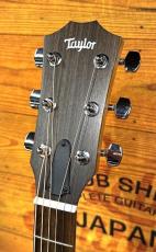 Taylor 【アウトレット特価!】112e Black Top ~Japan Limited~【コスパ最強エレアコ】【日本限定30本】_4