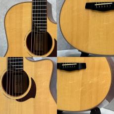 Yokoyama Guitars AR-GP #486【ジャーマンスプルース x パドゥク】【美品】_5