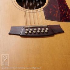 Cole Clark  FL2A-12 (12-Strings)_10