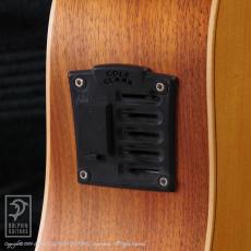 Cole Clark  FL2A-12 (12-Strings)_11