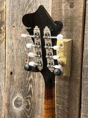 Gibson F-5L 1981_8