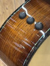 Taylor 【待望の入荷!旧仕様大特価!】PS14ce Presentation Series_6