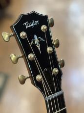 Taylor 【待望の入荷!旧仕様大特価!】PS14ce Presentation Series_8