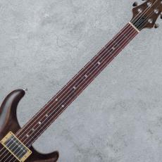 Bacchus Hand Made Series Licks Standard -Brown Oil Finish-_6