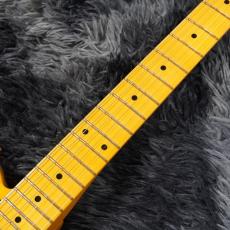 Fender Japan American Professional Telecaster, Maple Fingerboard, Butterscotch Blonde_4