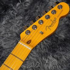 Fender Japan American Professional Telecaster, Maple Fingerboard, Butterscotch Blonde_5
