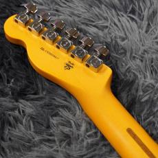 Fender Japan American Professional Telecaster, Maple Fingerboard, Butterscotch Blonde_6