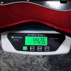 Fender American Professional Jazz Bass V, Maple Fingerboard, Oxblood_9