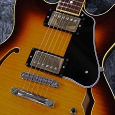 SCHECTER R-SW-260 TSB (Tobacco Sunburst) Made in Japan 【中古】_3