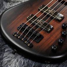 Warwick TeamBuilt Fortress, Limited Edition 2026, 5-string - Natural Blackburst Finish_3