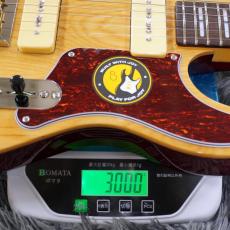 Sire Larry Carlton T7TM Natural_9