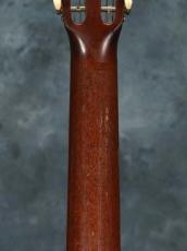 Martin 1965 D12-20_12