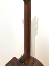 Taylor 914ce Special Edition_8