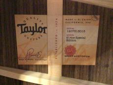 Taylor 914ce Special Edition_10