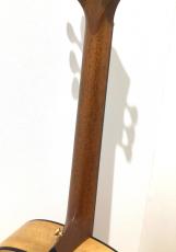 Taylor Custom GP Lutz Spruce/Sassafras_8