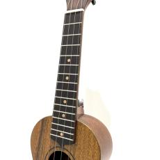 G-Labo ガズのわがままウクレレ【P.U.なし】【ソプラノサイズ】_3