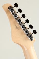 FUJIGEN EOS-QM/R Ocean Green Beach "MIKIGAKKI UMEDA ORDER MODEL"_8