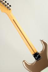 Fender American Professional Classic Stratocaster MN Faded Firemist Gold【S/N US25054814】_6