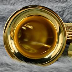 YAMAHA YAS-875EX AV1AGネック搭載_4