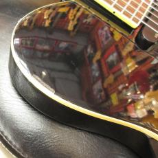 FERNANDES TEJ-70_3