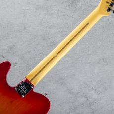 Fender American Professional Telecaster MN Aged Cherry Burst【S/N US26043696】_7