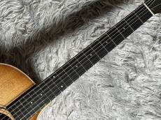 Taylor 314ce Studio SEB_5