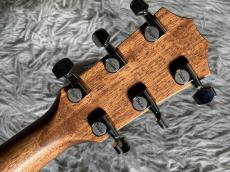 Taylor 314ce Studio SEB_10