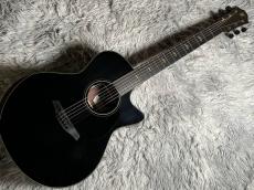 Furch Guitars Eclipse Performance Lime Gc-ER a SPA_2