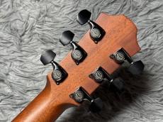Furch Guitars Eclipse Performance Lime Gc-ER a SPA_10