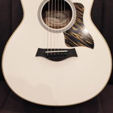 Taylor GS Mini-e Special Edition~Trans White~【限定モデル】_4