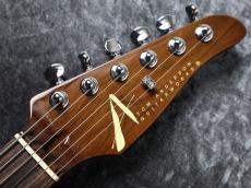 TOM ANDERSON Custom Order Drop Top Tiger Eye Burst with Binding #09-21-26P【極杢トップ】【良音個体】_8