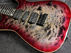 TOM ANDERSON Custom Order Angel Natural Black to Trans Red Burst with Binding #09-22-26P【極杢トップ】_4