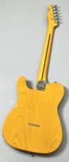 Fender 【新製品!】American Professional Telecaster Butterscotch Blonde#US26038527【3.78kg】_5