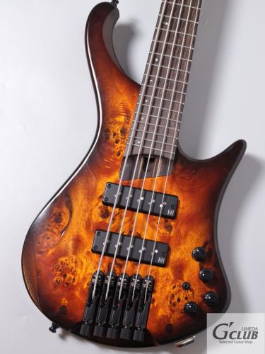 Ibanez EHB1505S -Dragon Eye Burst Low Gloss-【3.04kg】【新品特価】