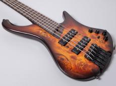 Ibanez EHB1505S -Dragon Eye Burst Low Gloss-【3.04kg】【新品特価】_4