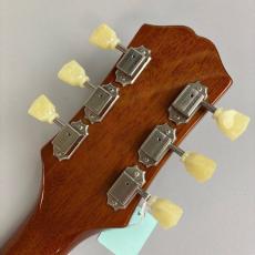 Epiphone ES-335_8
