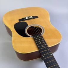 HONEY BEE W-15_9