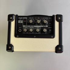 Roland Micro Cube GX_2
