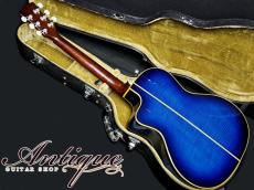 VG Limited Edition VG-00FM Blue Sunburst w/Figured Maple Signed by K.Sakazaki "THE ALFEE's Collection"_3
