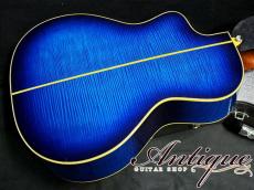 VG Limited Edition VG-00FM Blue Sunburst w/Figured Maple Signed by K.Sakazaki "THE ALFEE's Collection"_5