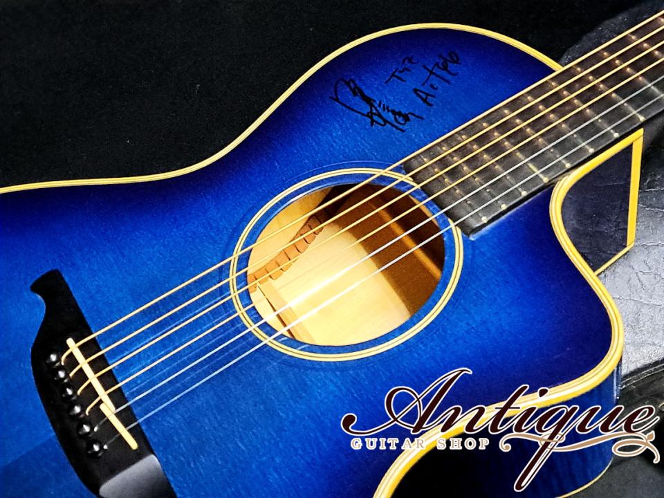 VG Limited Edition VG-00FM Blue Sunburst w/Figured Maple