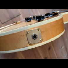 Gibson ES-135 Ltd_5